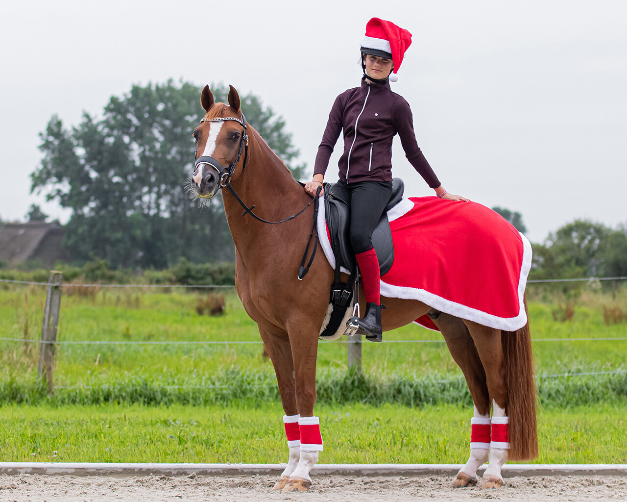 Weihnachts-Ausreitdecke