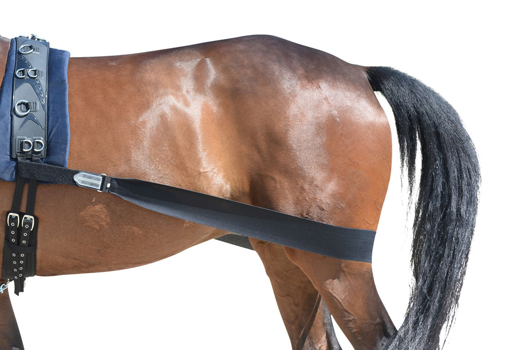 Körper Bandage aktiviert die Hinterhand des Pferdes